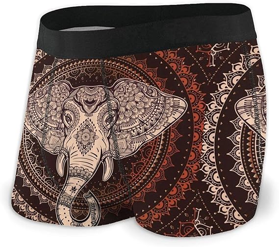 Yuanmeiju Mens Boxer Shorts Fitted Slip Oriental Elephant Head Trunks