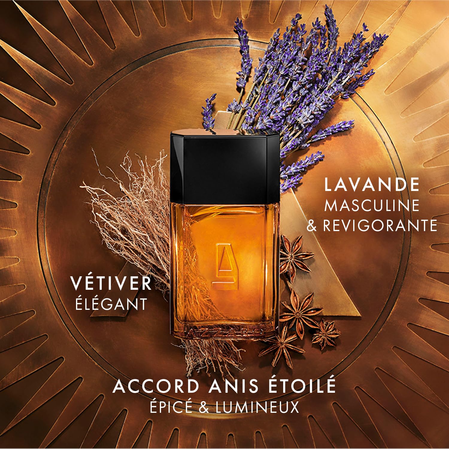 AZZARO Pour Homme - Eau De Toilette Homme - Fougère Aromatique Boisée - Patchouli, Vétiver & Santal - Tenue Longue Durée - Spray Vaporisateur
