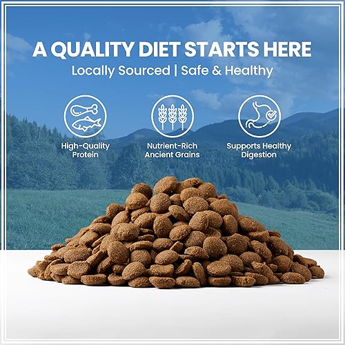 Miniatura 3 de Muenster Receta de granos antiguos para razas grandes, alimento seco sin gluten para perros con pollo, croquetas completas y equilibradas sin OMG