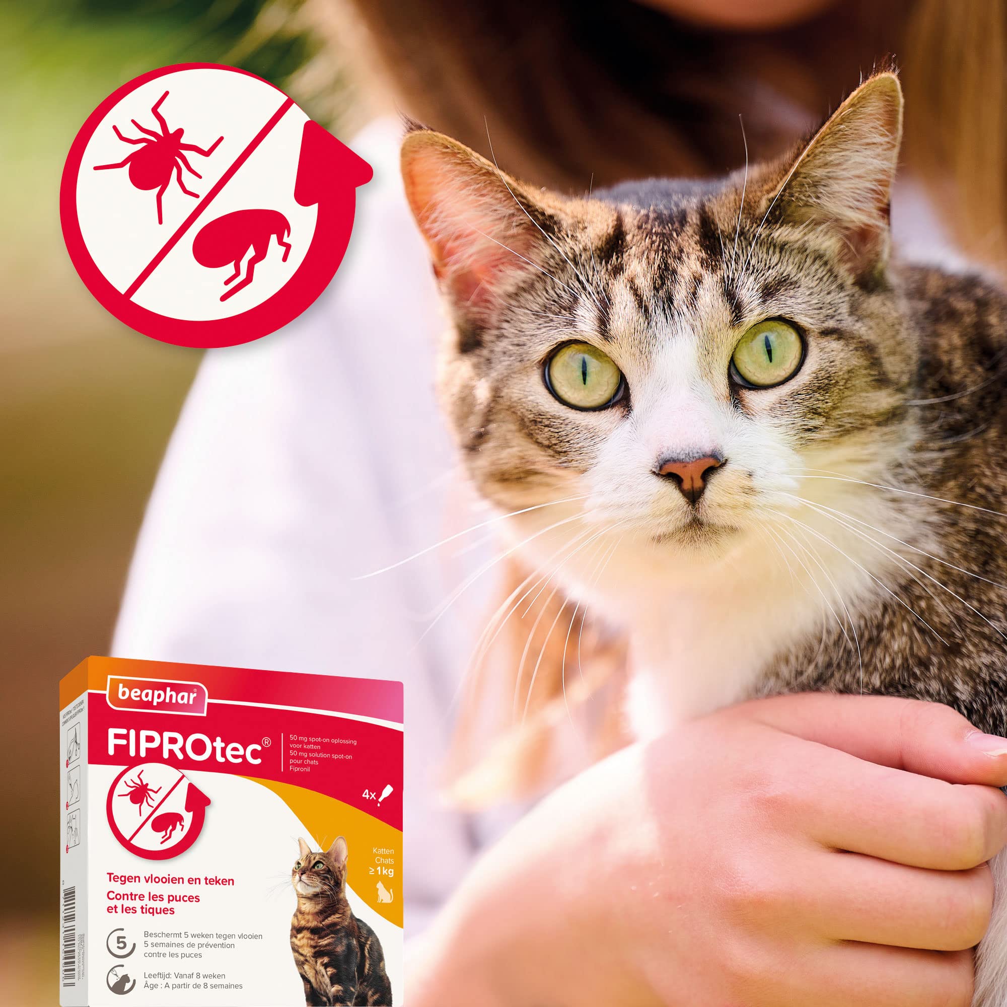 BEAPHAR FIPROTEC 50 MG Solution Spot-on pour Chats À Base de Fipronil Tue Les Puces et Les Tiques à l'application Traitement Antiparasitaire pour Chat dès 8 Semaines 4 Pipettes de 0,50 ML