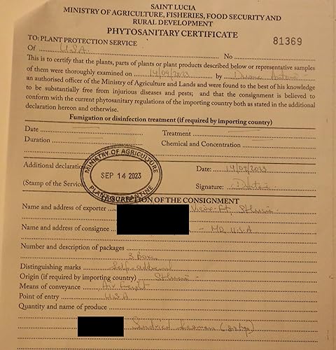 Miniatura 10 de Polvo de musgo marino morado Santa Lucía, 3 oz