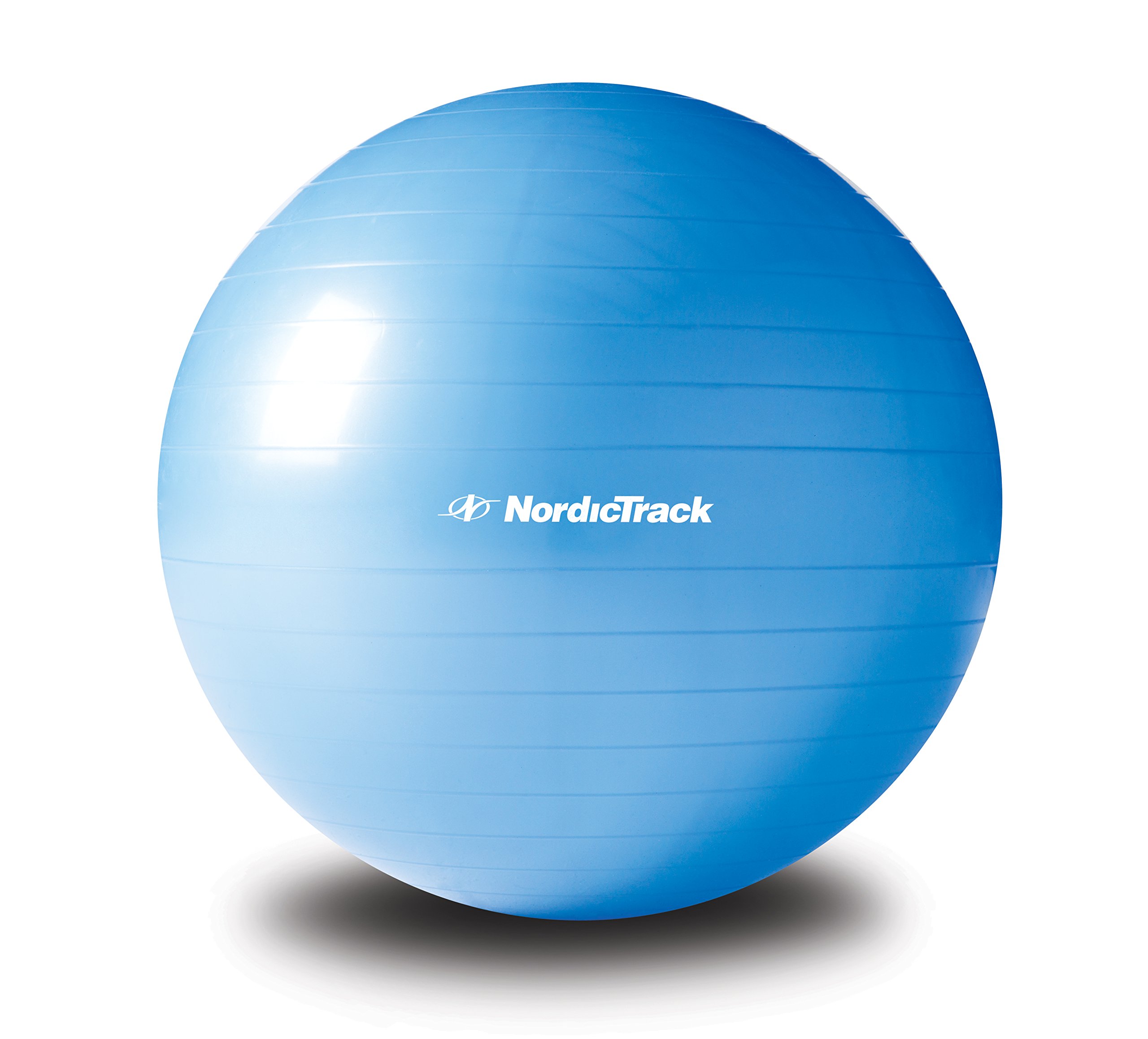 NordicTrack Stability Ball