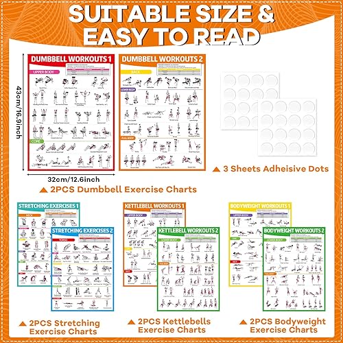 Miniatura 2 de gisgfim 8 pósteres de entrenamiento para mancuernas de gimnasio en casa, peso corporal, estiramiento, tabla de ejercicios de pesas rusas de cuerpo