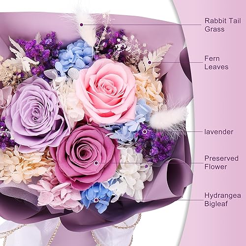 Miniatura 3 de Veroola Flores preservadas, ramo de rosas reales naturales para siempre, regalos para el día de San Valentín, día de la madre, Navidad, aniversario,