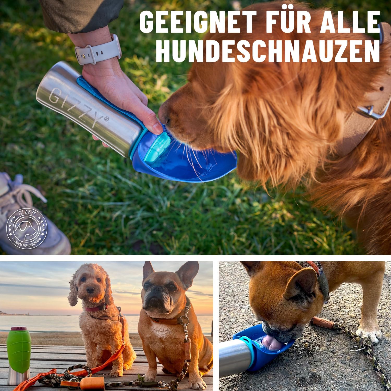 GIZZY® Gourde pour chien pour les déplacements, anti-fuite et robuste, en acier inoxydable, disponible en 2 tailles, avec serviette douce pour chien, gourde pour chien pour les déplacements pour tous