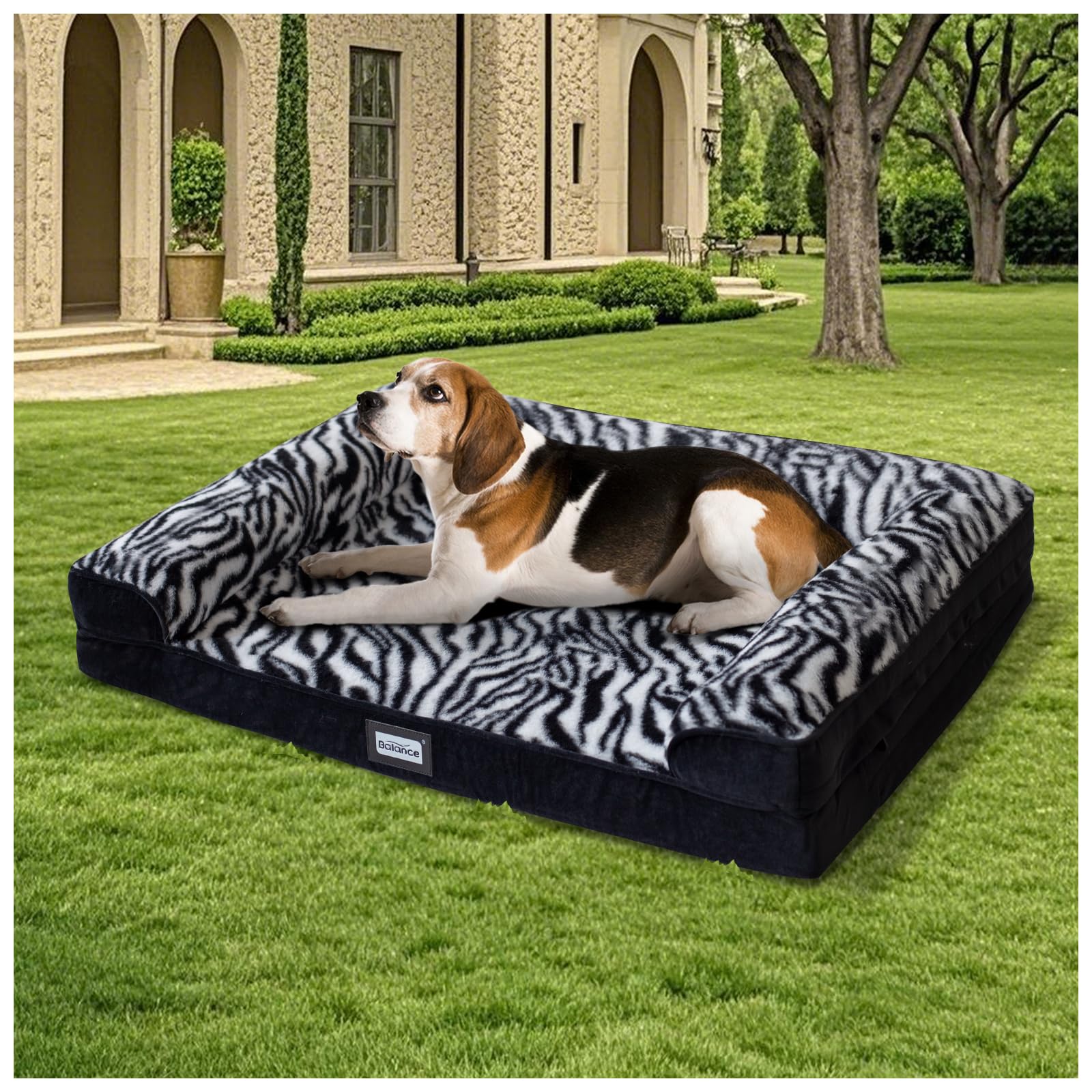 BALANCE Orthopedic Dog Bed for Large Dogs Comfortable Dog Sofa Beds with Removable Washable Cover Waterproof Lining Egg
