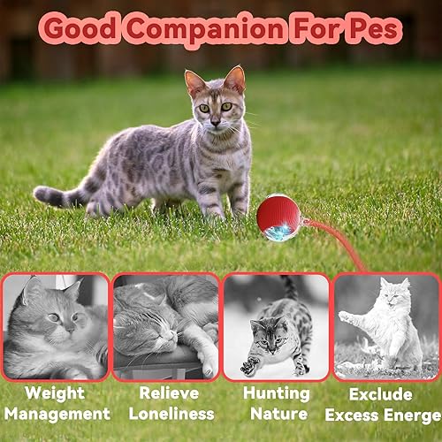 Miniatura 9 de Juguetes interactivos para gatos de interior, juguete automático para gatos con cola de malla elástica, bola rodante eléctrica en alfombra, gato que