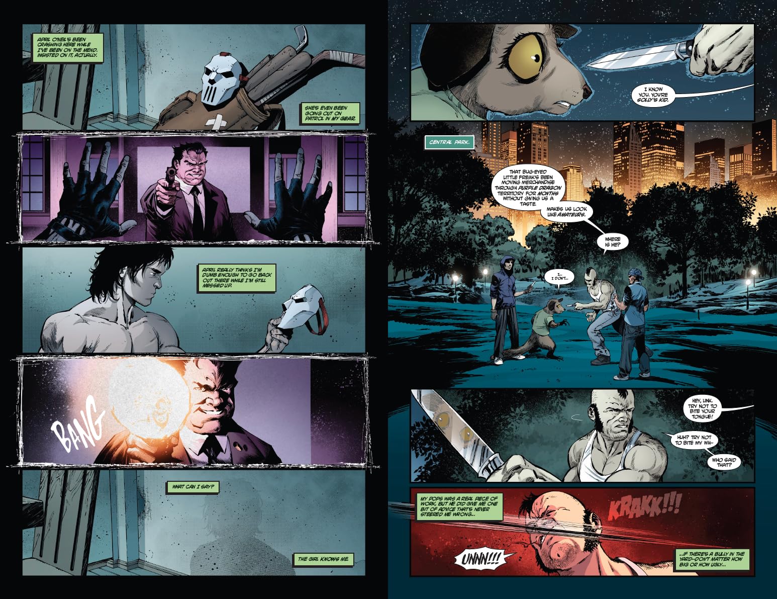 Teenage Mutant Ninja Turtles: Casey Jones