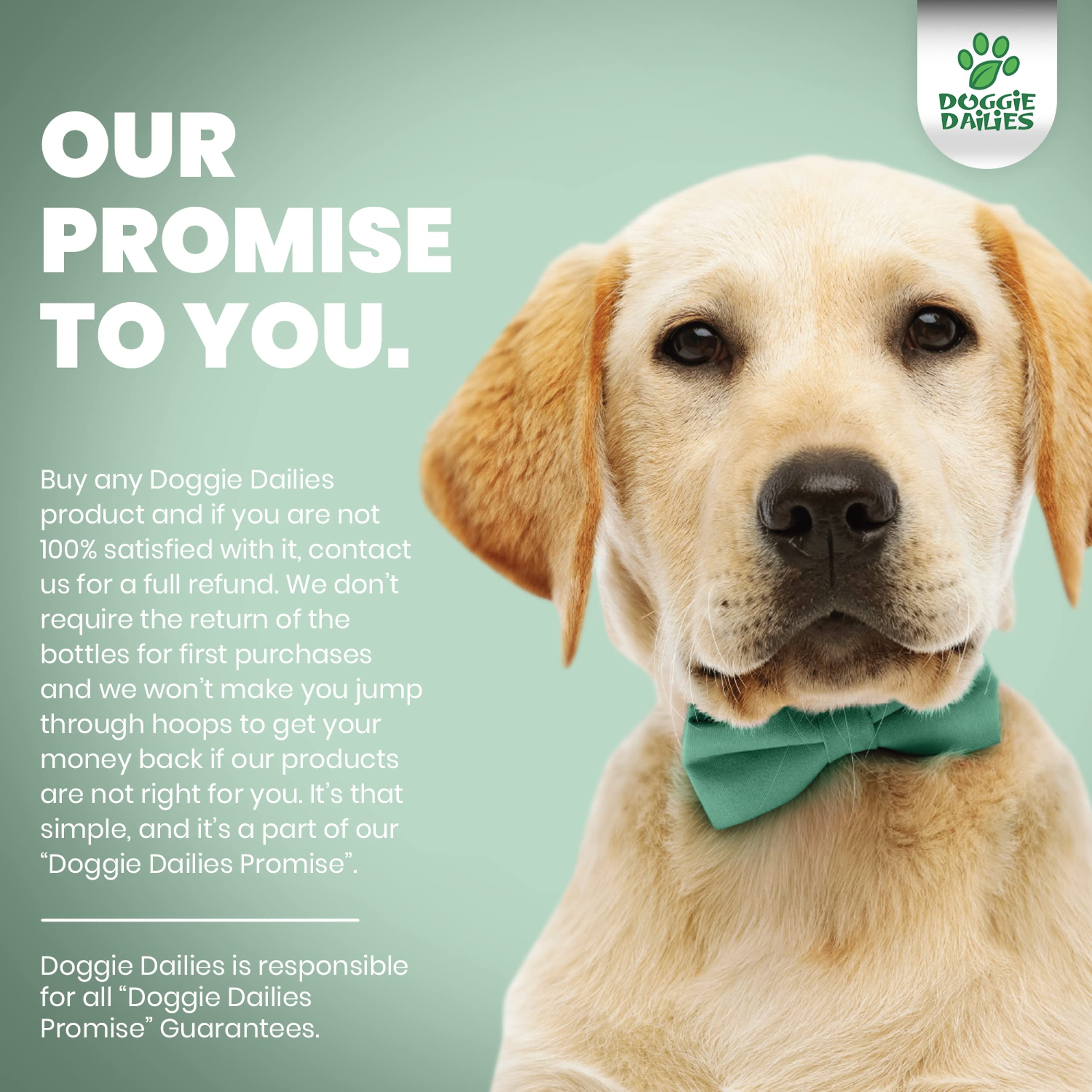 Doggie Dailies 5 in 1 Multivitamin for Dogs, 225 Soft Chews, Dog