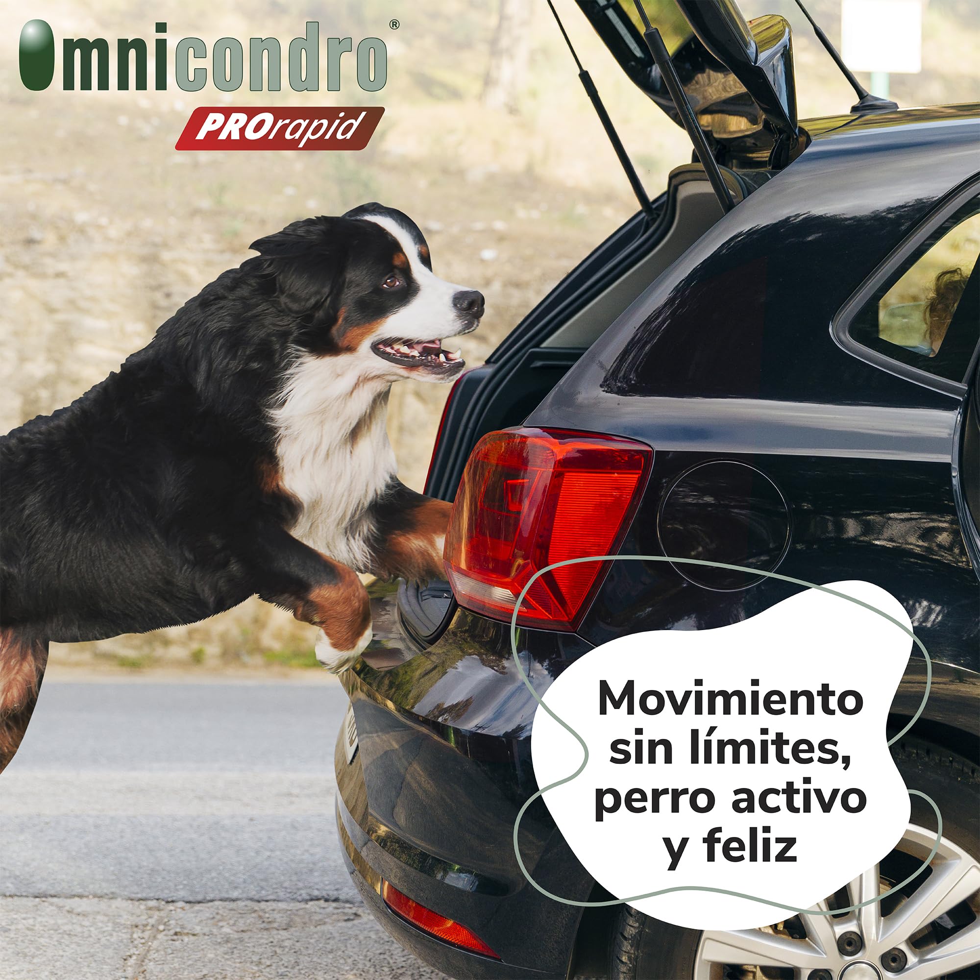 Omnicondro PROrapid Hifarmax - Condroprotector Perros con Vitaminas | Pastillas para Articulaciones Perros | Condroprotector con Colágeno | Caja de 60 Pastillas