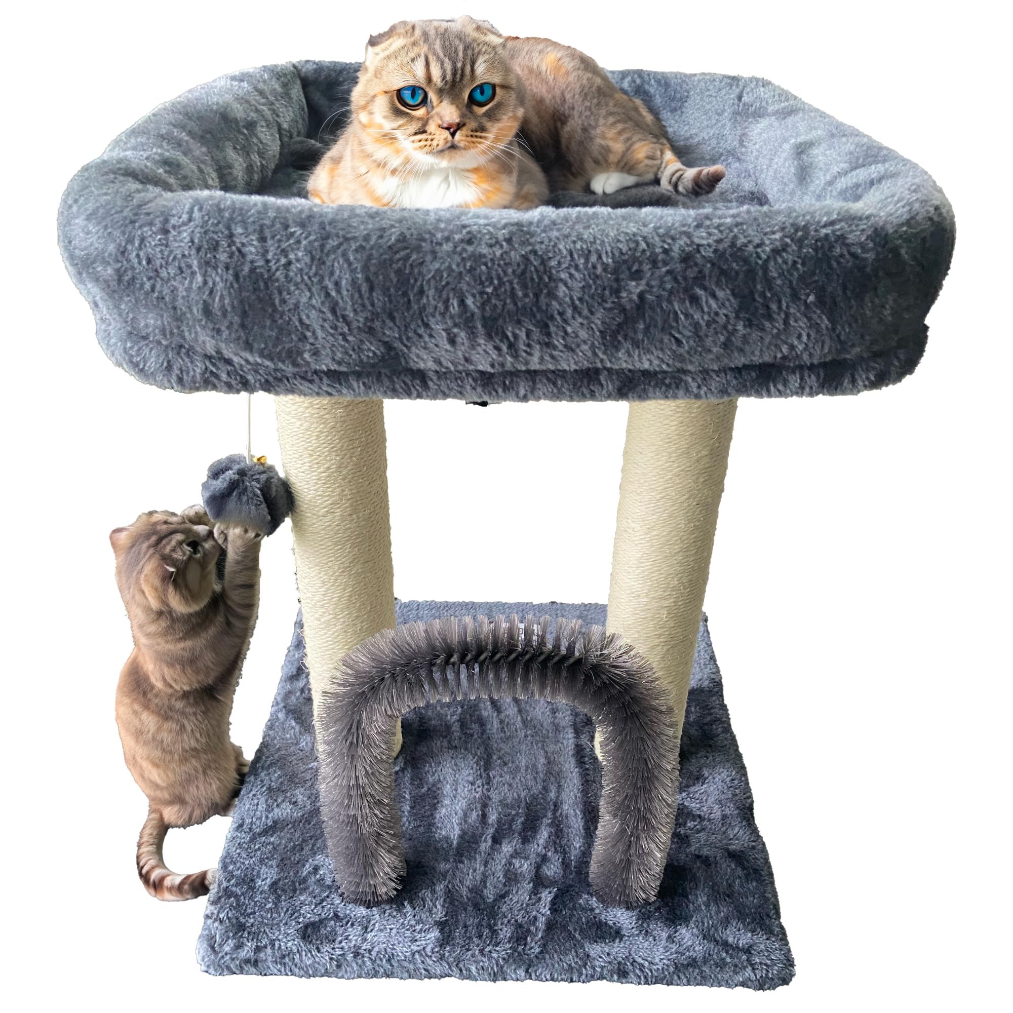 BEGA PET Cat Tree Tower 19.6 inch 4 in 1 Dark Grey Cat Scratching Posts Cat Arch Self