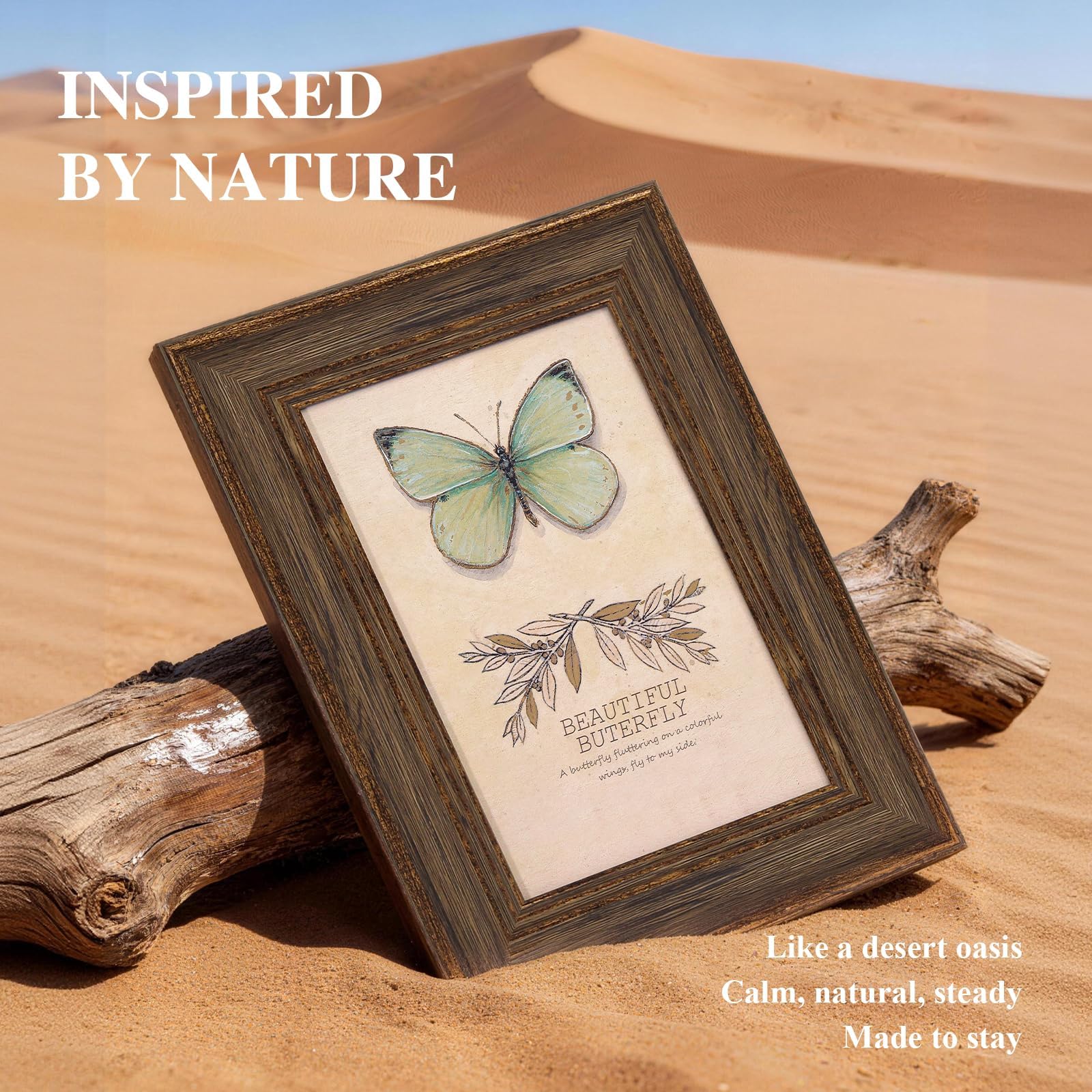View 5