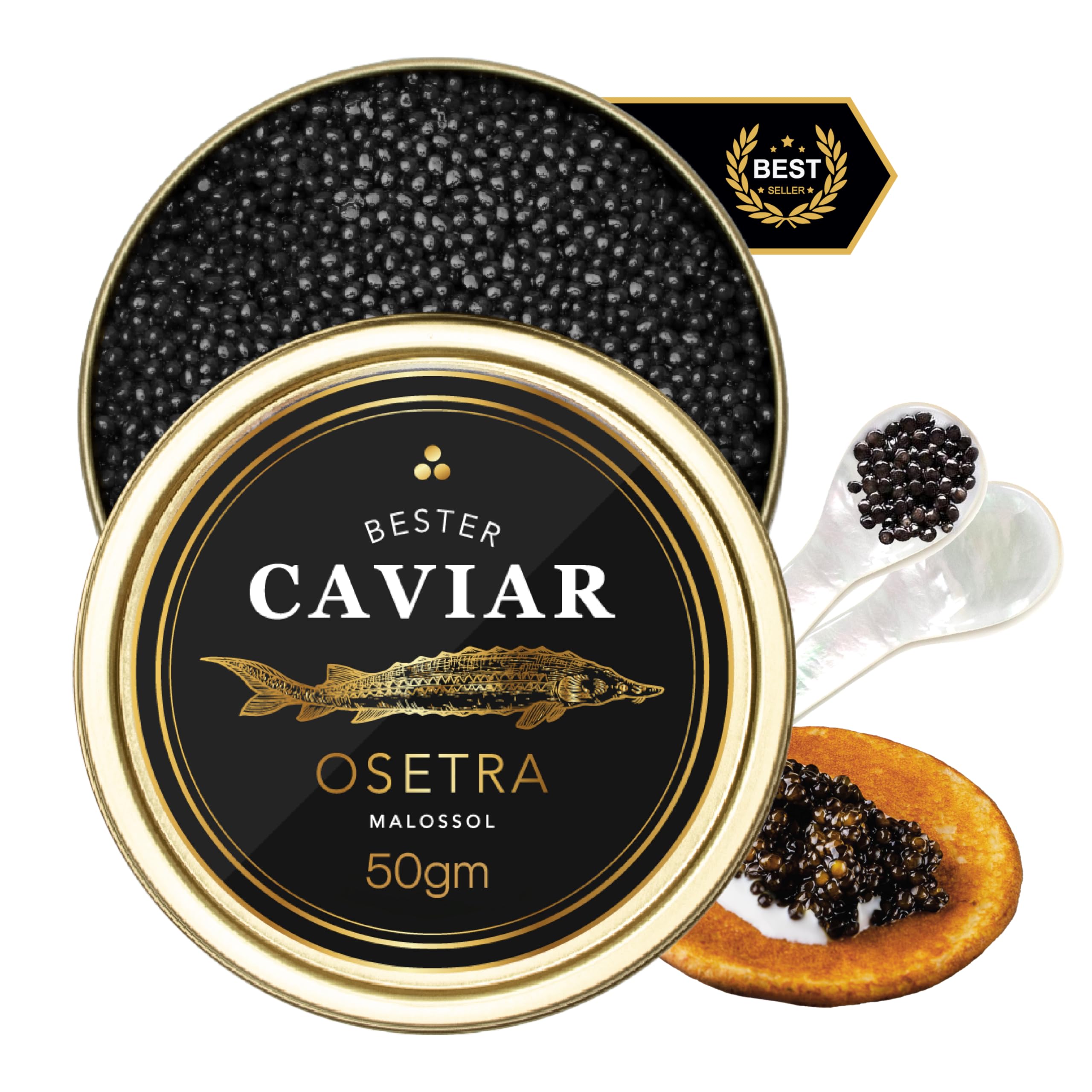 Overnight Guaranteed, BESTER Premium Russian Osetra Sturgeon Black Caviar - (1.76 oz (50g)) - Malossol Ossetra Black Roe - Premium Quality, Traditional Style, imported