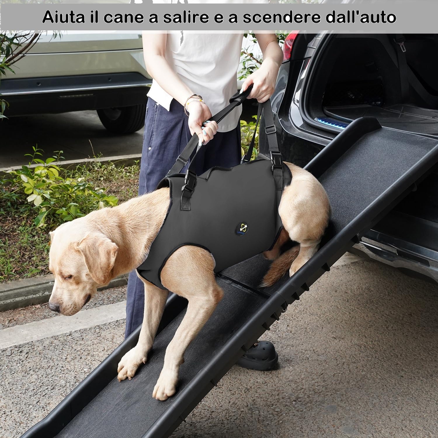 COODEO Dog Lift Harness, Imbracatura di Sollevamento per Cani, Sling di Supporto Regolabile per Cani Anziani, con Artrite o Perdita di Stabilità nella Camminata (Nero,XXL)