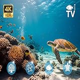 HibaBaraada - Fire TV & tablet