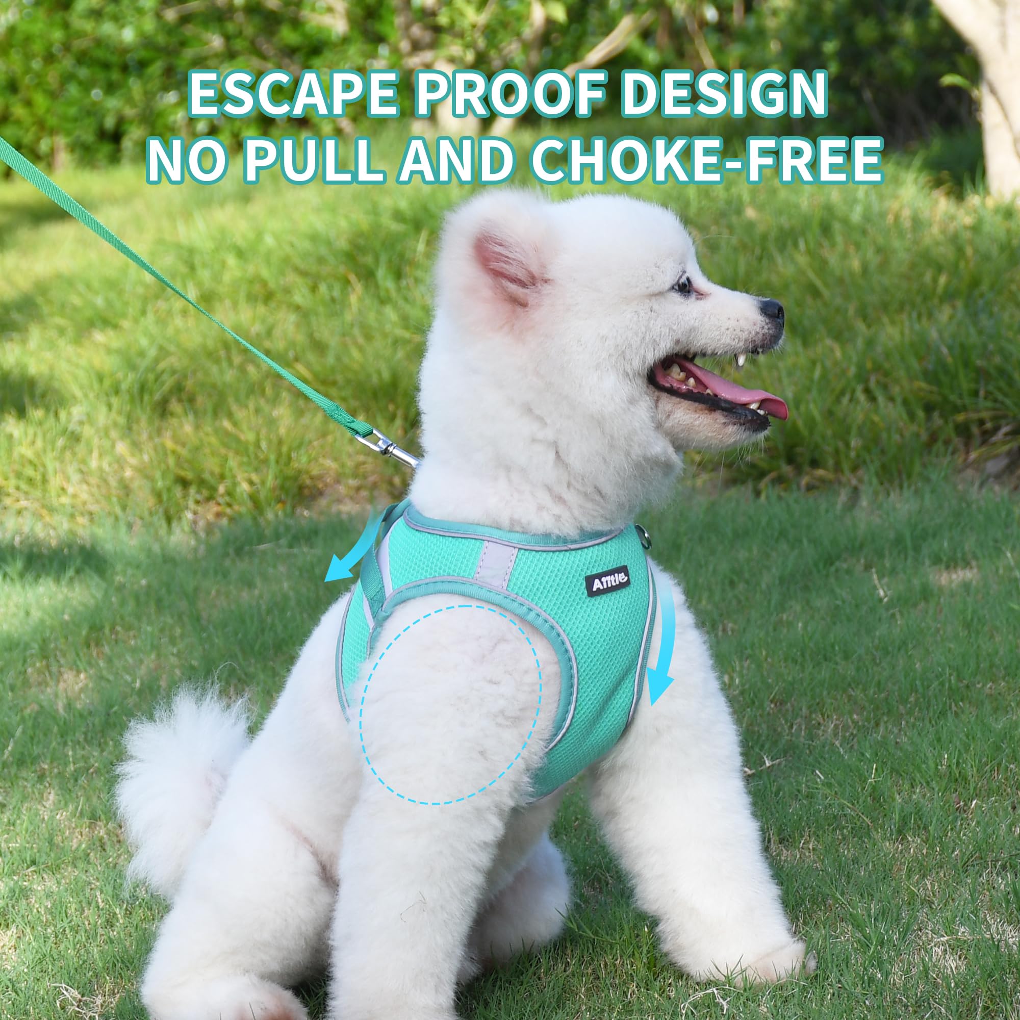 Black Rhino Dual Wonder Dog Leash Voyager Dog Harness AIITLE Small