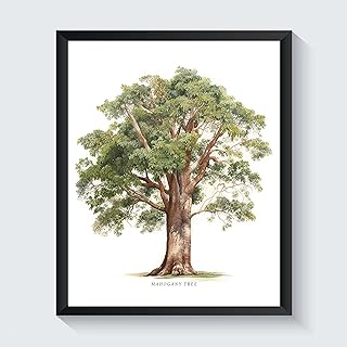 Mahogany Tree Poster Wall Decor Art Painting, Tree Family Cottage Nordic Decor Print, Green Tree Forest Nature Wilderness Vintage Artwork Photo (Mahogany, 24x36 inches (Unframed))