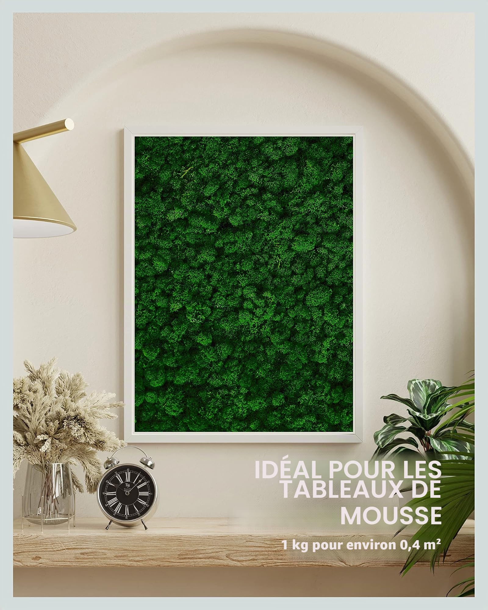 Mia Milano Mousse Naturelle décorative, pour Les crèche et Le Bricolage, en Plaque, réutilisable (Vert Naturel, 1kg)