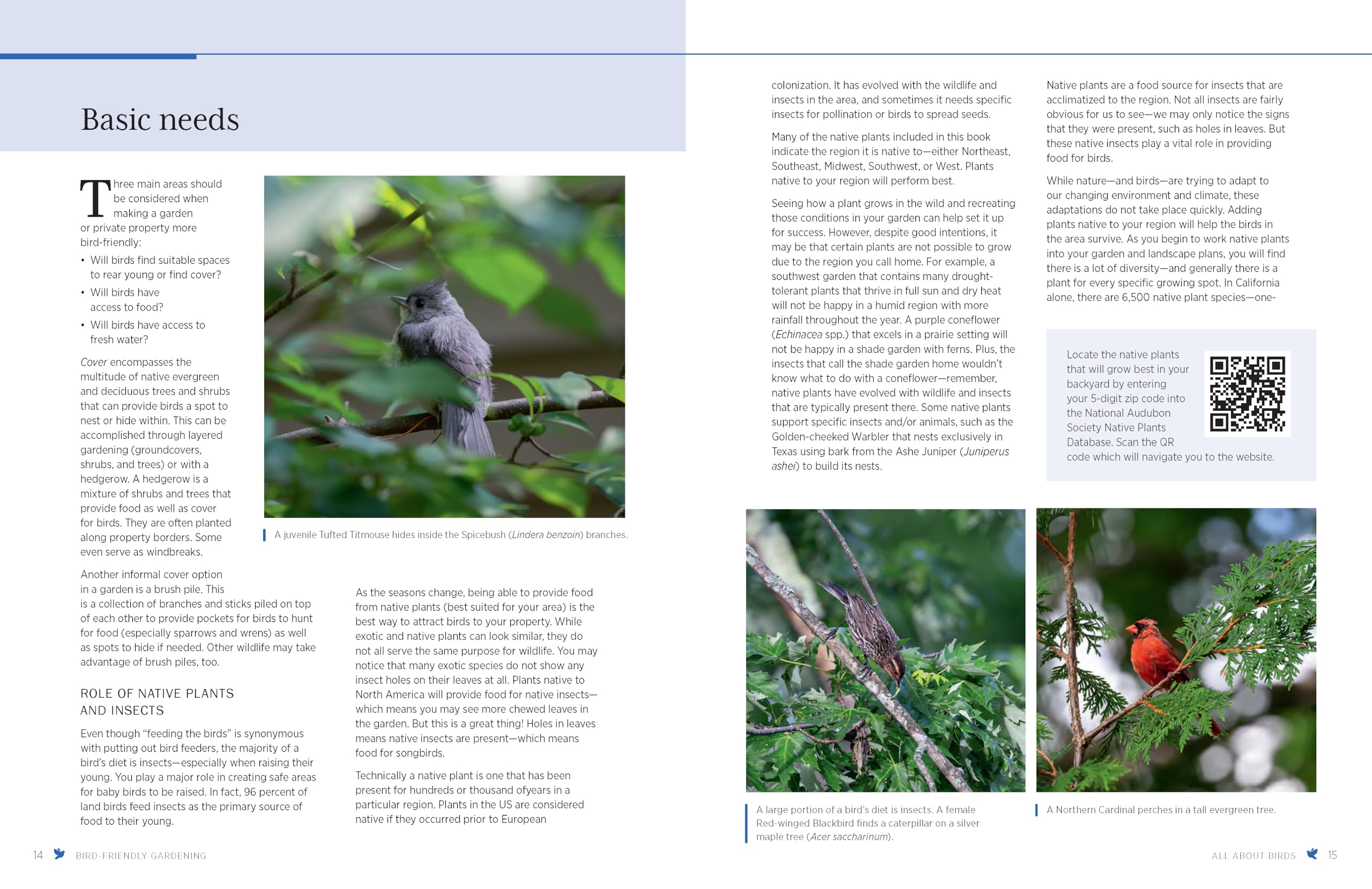 Bird-Friendly Gardening: Guidance and Projects for Supporting Birds in Your Landscape - Image 3