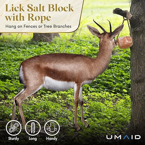 Miniatura 4 de UMAID Sal del Himalaya para lamer 6 libras en cuerda para animales de caballo, ciervo, cabra y ganado, bloque de sal del Himalaya, 1 paquete