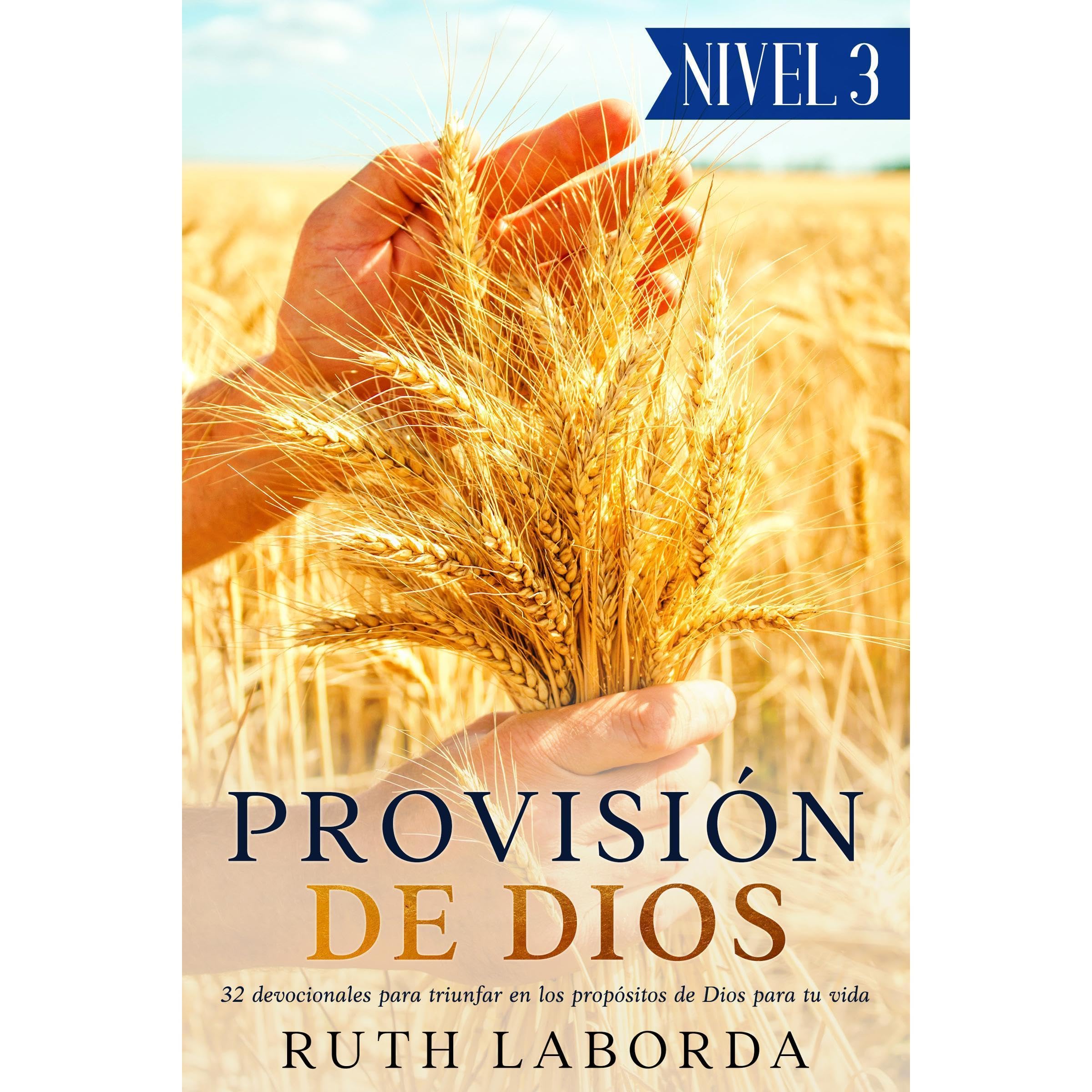 Provisión de Dios (Nivel 3)