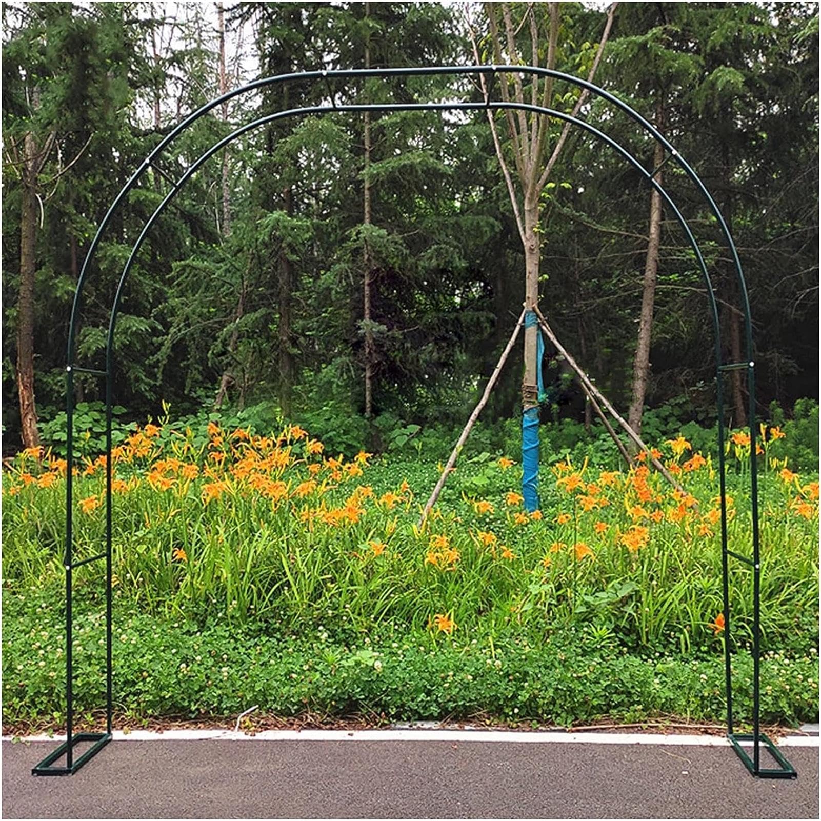 Arche de jardin en métal blanc pour tuteurer sans effort les rosiers grimpants