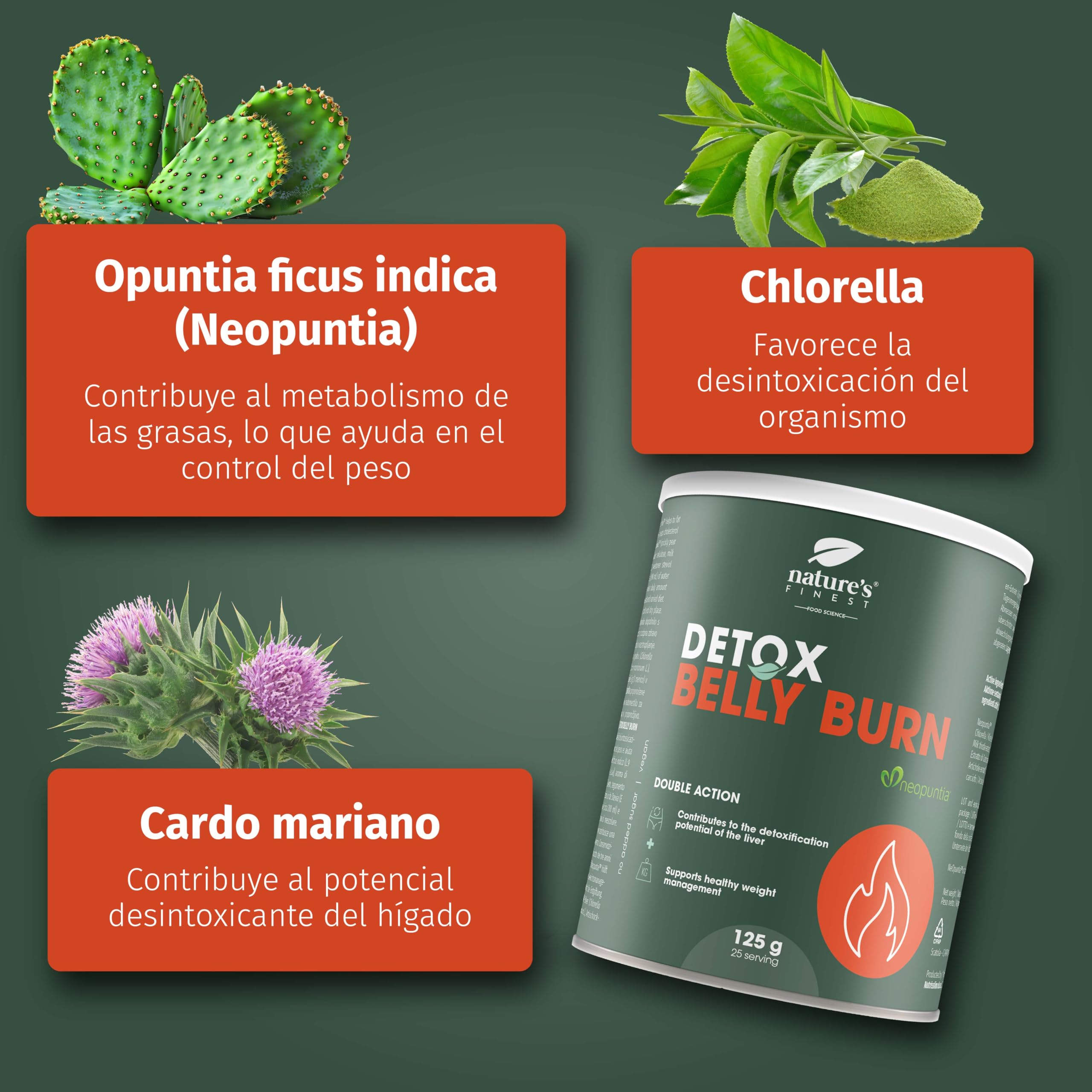 Nature's Finest Detox Belly Burn - Vientre Plano Quemagrasas con Extracto de Alcachofa y Cardo Mariano - Suplemento Nutricional Detox Adelgazante Potente Natural - Polvo