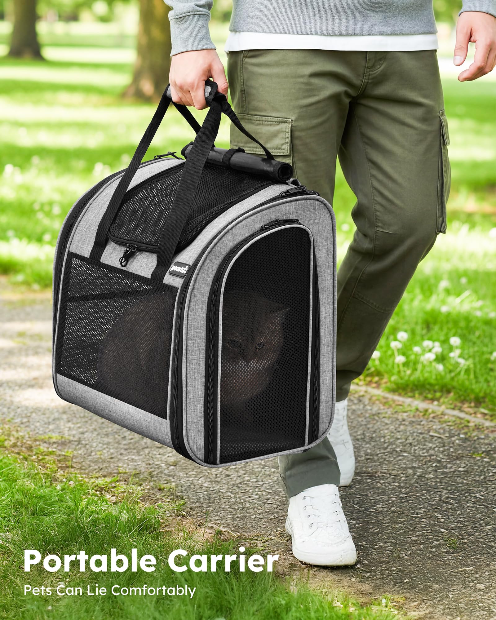 pecute Mochila transportadora para Gatos con diseño ventilado, Mochila Plegable para Mascotas para Gatos y Perros, Mochila para Perros con Correa de Seguridad