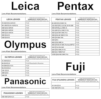 Amazon.com : Wimberley WH-200 Wimberley Gimbal Head II
