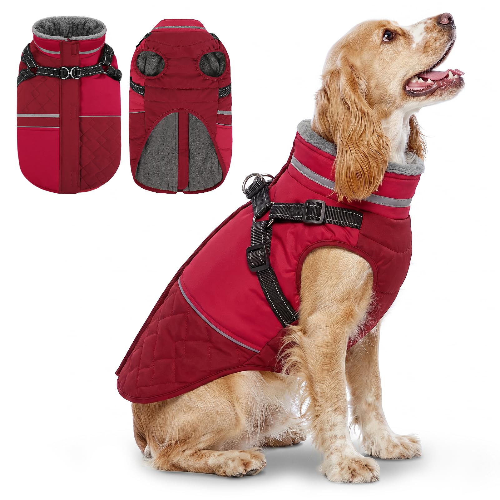 Queenmore Dog Coat With Harness, Waterproof Dachshund Coat, Red, M