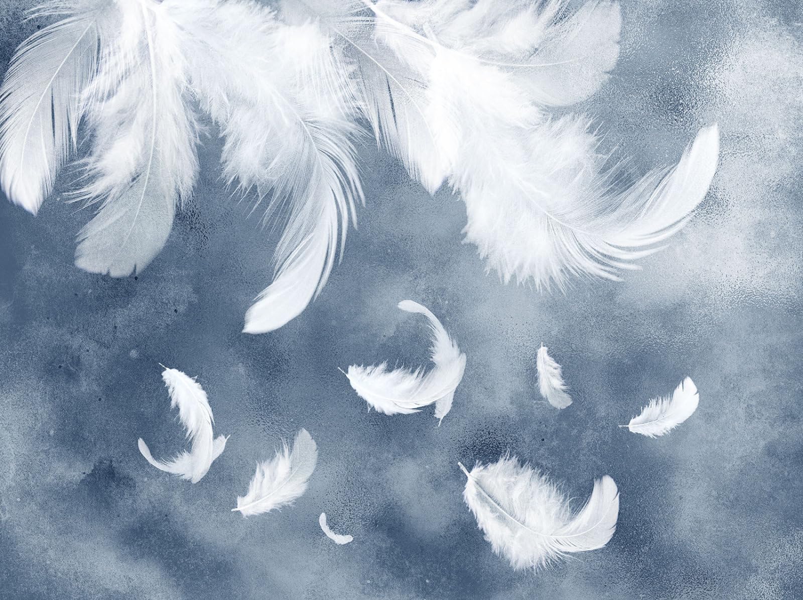 Gdkldfg White/Blue Feathers Feature Wall Wallpaper,Non-Woven Poster,Wall Mural For Living Room Bedroom Feature Wall Decoration 400X280cm