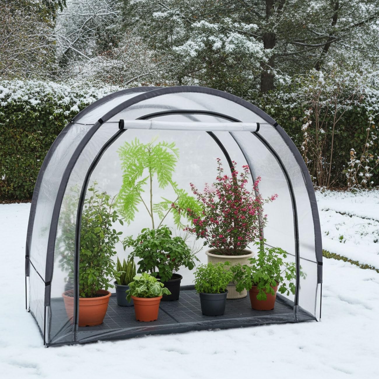 Ideoon 2er-Set Robustes Foliengewächshaus und Überwinterungszelt, 175x186x84 cm: EIN Pflanzenschutz für optimale Ernte & frostfreie Pflege (Modell 2026)