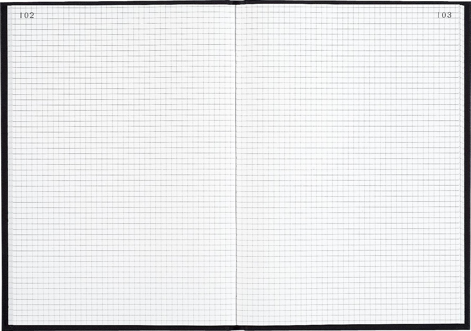 Le Dauphin - Rif. 427507D - 1 Registro - Dimensioni 34 x 22,5 cm - Stampa a quadretti 5x5 - Carta interna 90 gsm - 500 pagine numerate - copertina rigida in tela nera