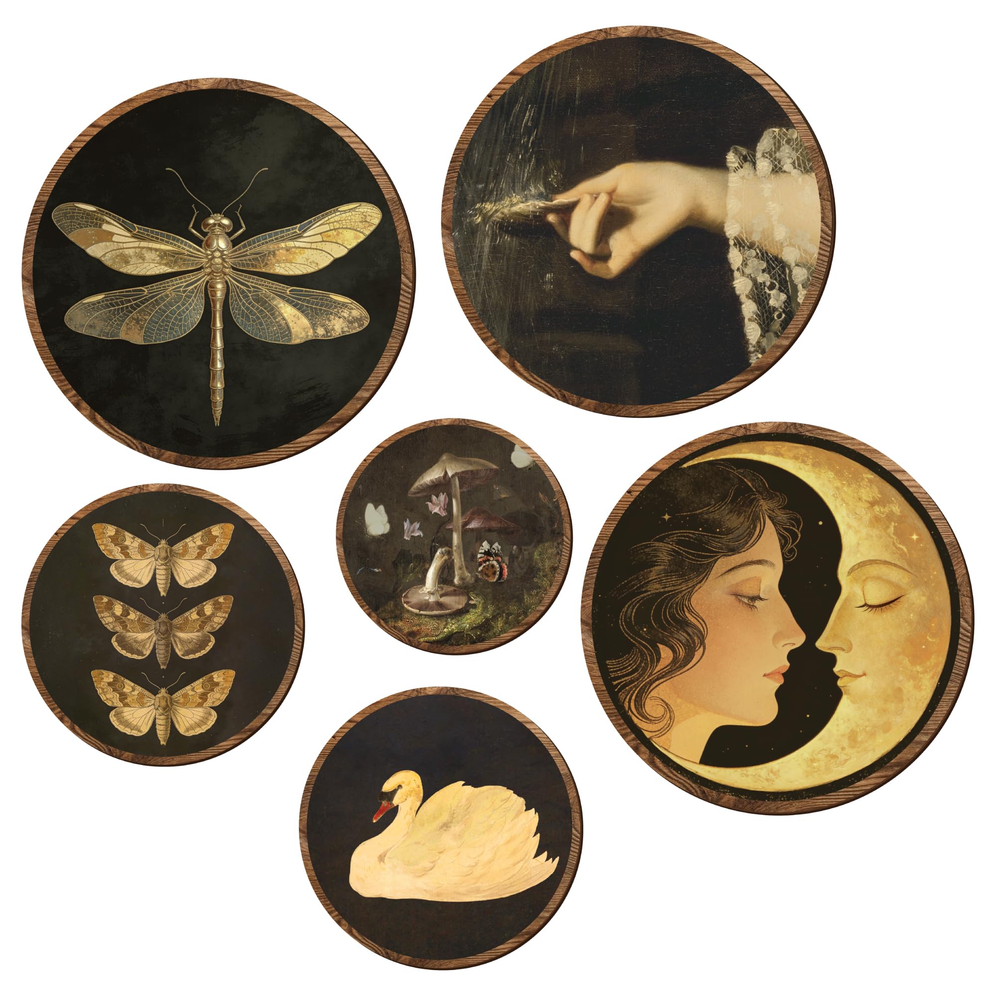 97 Decor Dark Academia Decor - Vintage Butterfly Wall Art, Moody Art Prints Dark Cottagecore Round Wall Hanging For Bedroom Living Room
