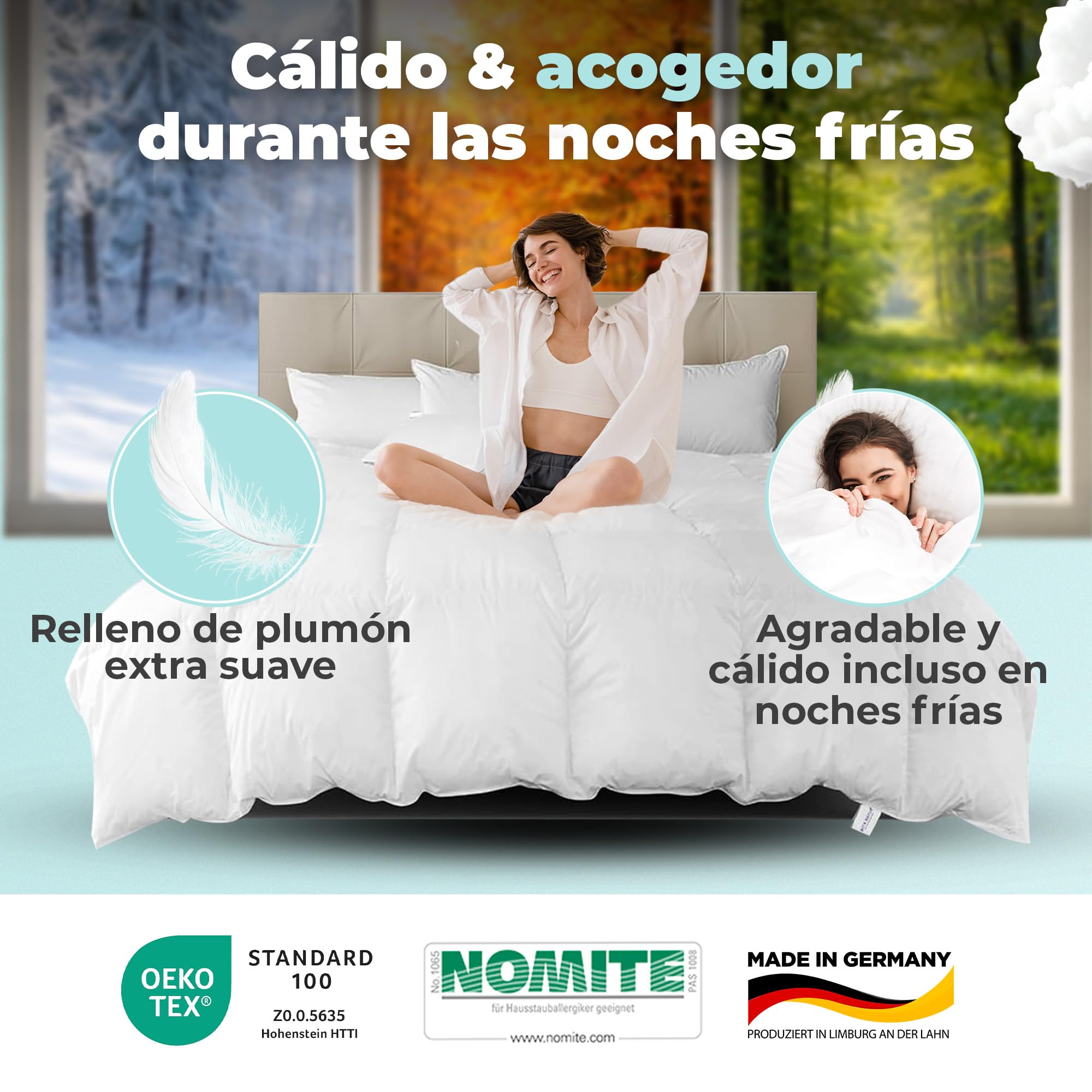 BEFA NATUR Edredón nórdico Fabricado en Alemania, 200 x 200 cm, con 60% plumón y 40% Plumas, Manta para Todo el año, Apto para alérgicos (Nomite), Öko-Tex 100 Clase 1, estándar EN 12934, Downpass
