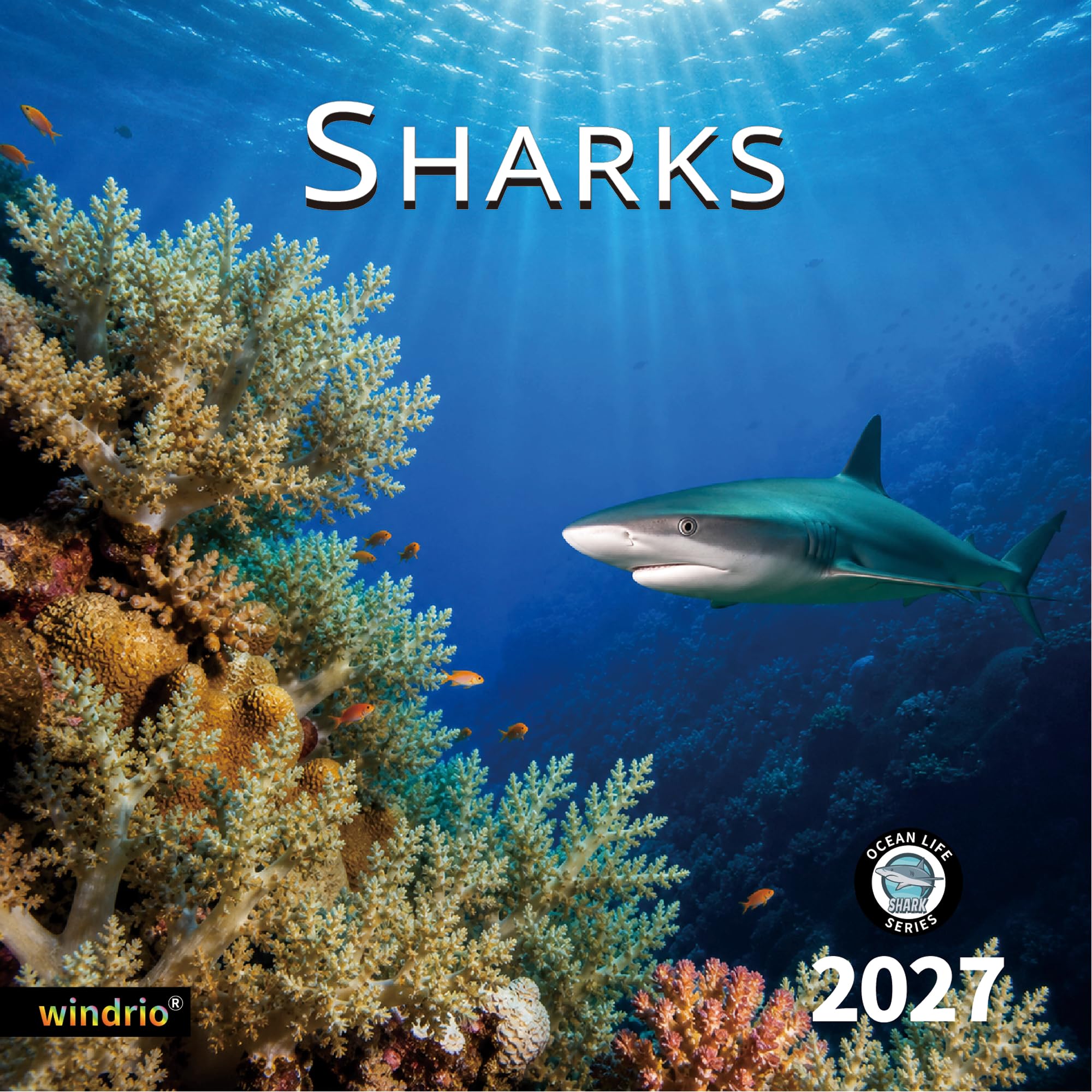 2026 Wandkalender, Kalender 2026, November 2025 – Dezember 2026, Wandkalender Hai, 30,5 x 61 cm geöffnet, ganzseitige Monate, dickes und stabiles Papier als Geschenk, perfekte Kalenderorganisation und