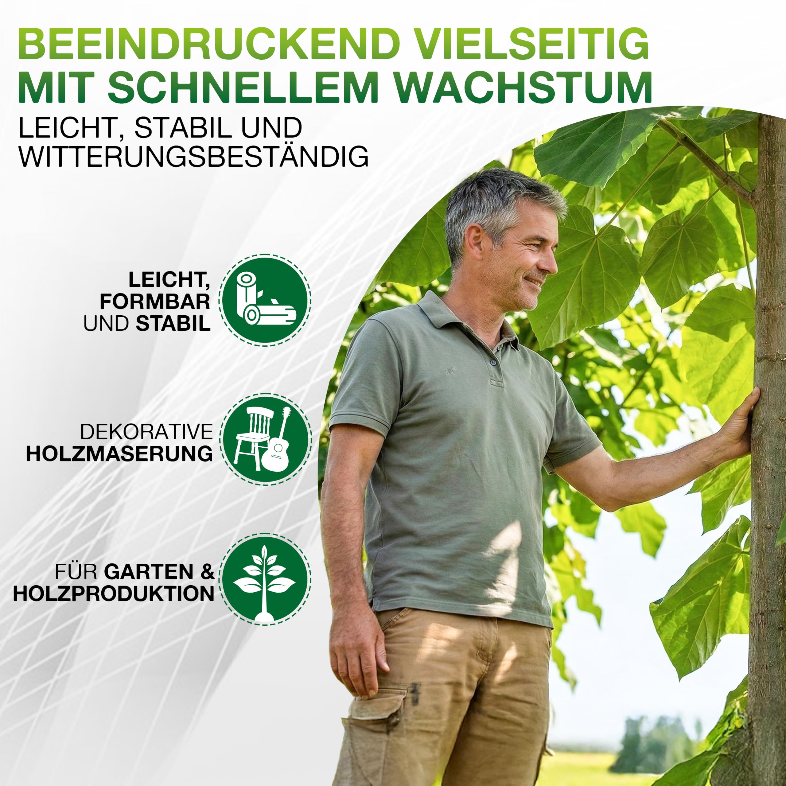 Blauglockenbaum Paulownia Nordmax 21® P. tomentosa x P. fortunei schnellwachsend - auch bekannt als Kiri-Baum, Kaiserbaum mit blauvioletten & glockenförmigen Blüten als CO2 Baum (1x 15 cm-Topf)