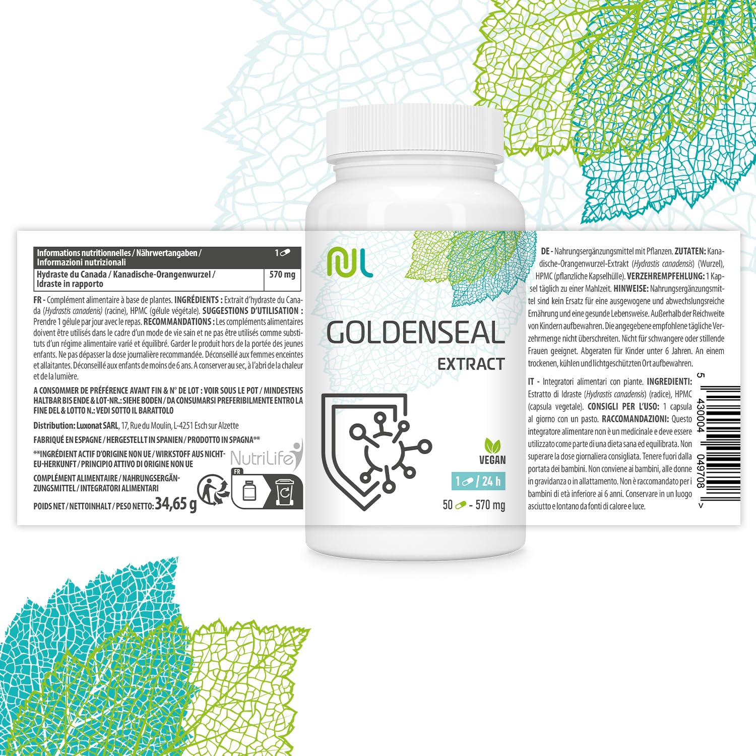 Hydraste du Canada 570 mg Goldenseal - 50 Gélules Végétales - Complément Alimentaire Naturel pour le Bien-Être - Soutien des Défenses Naturelles - Pour 1 Mois - Fabriqué en Europe - Nutri Life
