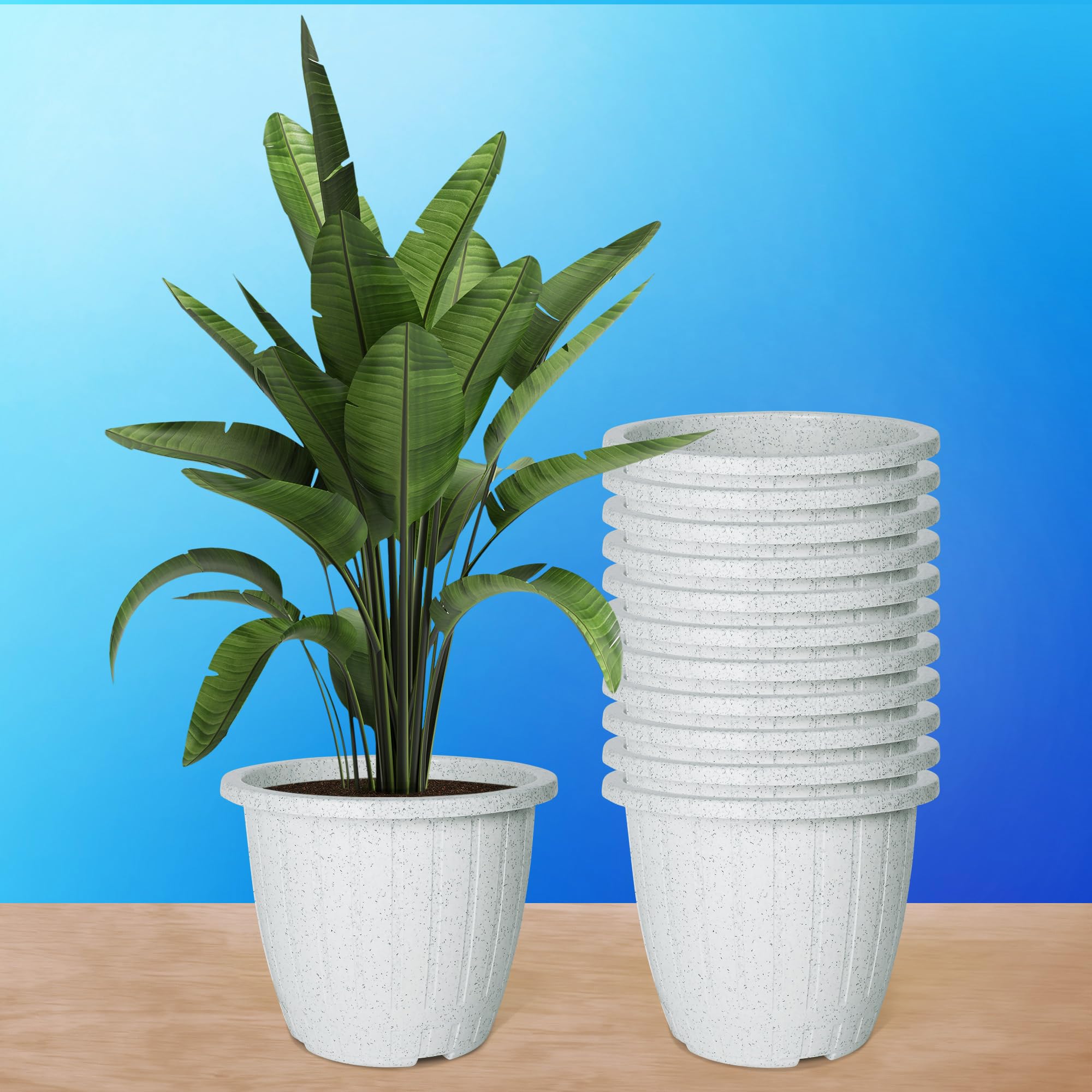 Kuber Industries Pack of 12 Flower Pot | Flower Pot for Living Room | Planters for Home-Lawns & Gardening | Window Planters | Flower Pots for Balcony | Marble Duro | 8 Inch | White (B0CYPMDM7X) Amazon Price History, Amazon Price Tracker