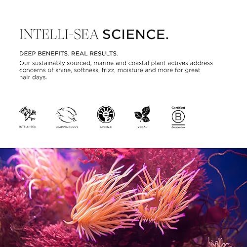 Miniatura 5 de Intelligent Nutrients Amplifi-hair Acondicionador voluminizador, hidratación y desenredante sin peso para cabello fino, fórmula de acondicionamiento