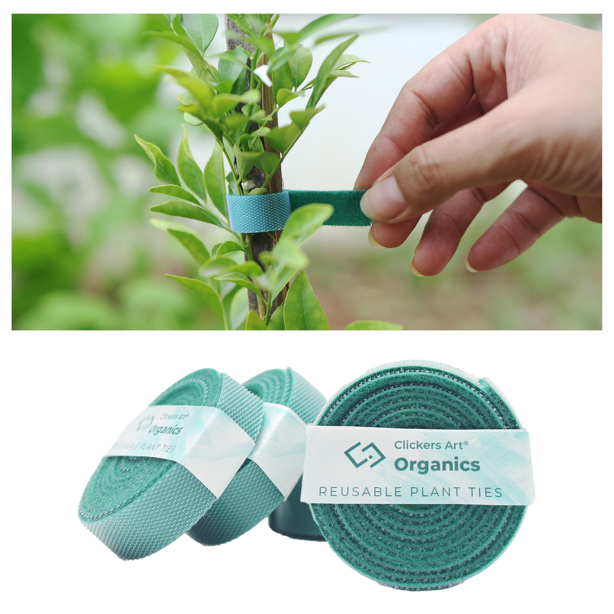 Clickers Art Reusable & Flexible Plant Ties for Sustainable Gardening | Multi-Use Support Tie Tape for Your Garden (1 Meter, Pack of 3, Green) (B0DGDK66RP) Amazon Price History, Amazon Price Tracker