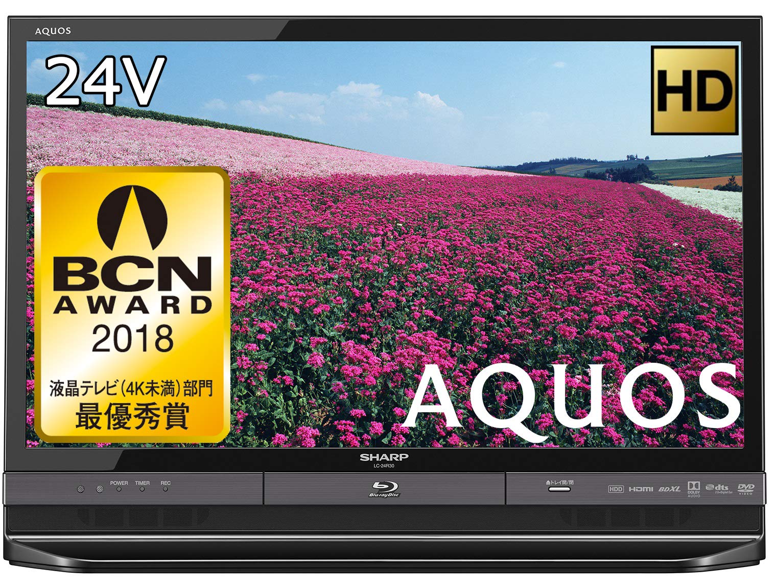 シャープ 24V型 ハイビジョン 液晶テレビ AQUOS LC-24R30-B ブルーレイ 
