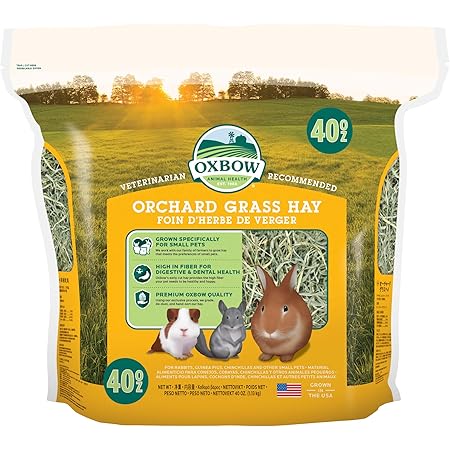 Oxbow Animal Health Orchard Grass Hay - All Natural Grass Hay for Chinchillas, Rabbits, Guinea Pigs, Hamsters & Gerbils - 40 oz.