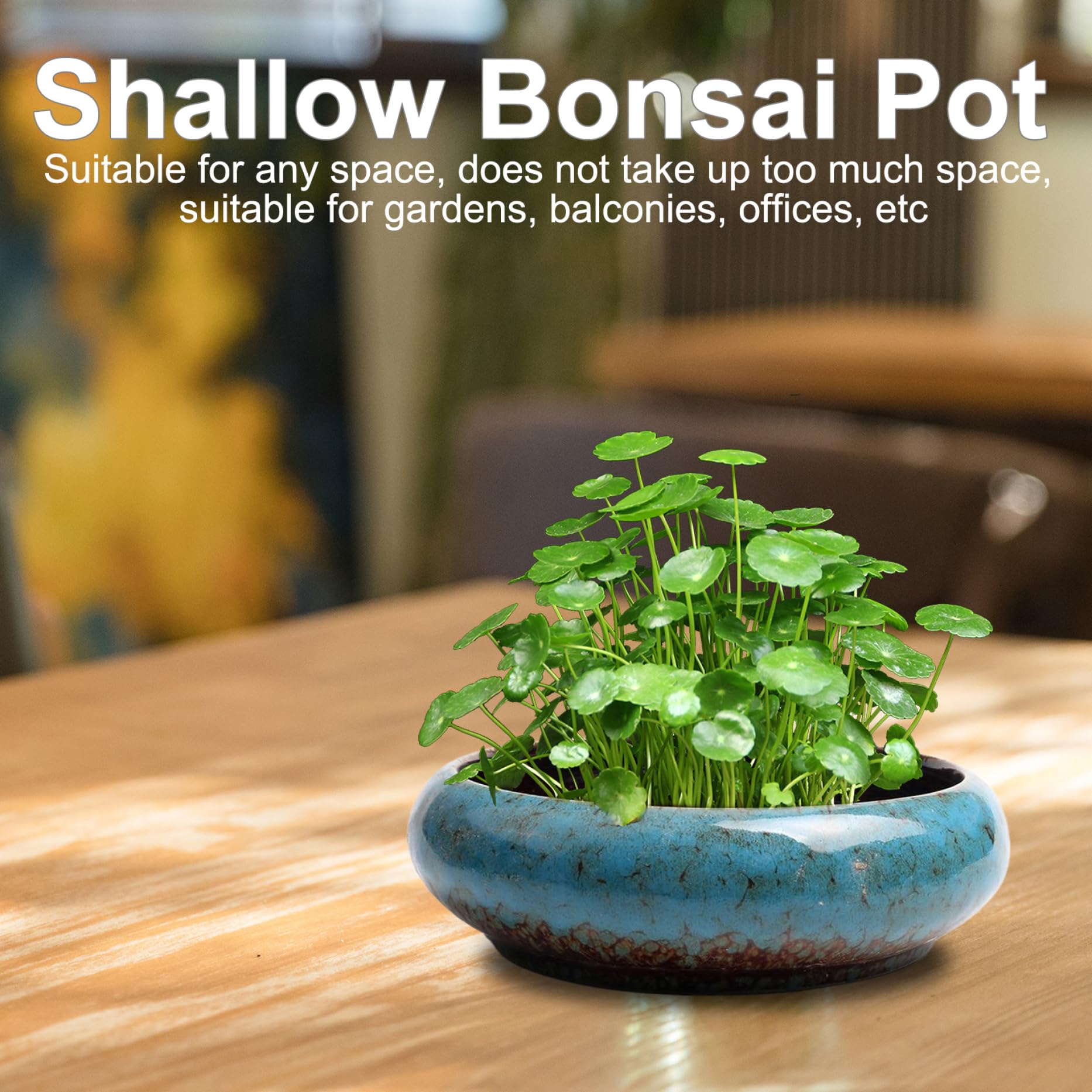 Pot De Fleurs En Forme De Bol De Lotus Pour Plantation De Graines