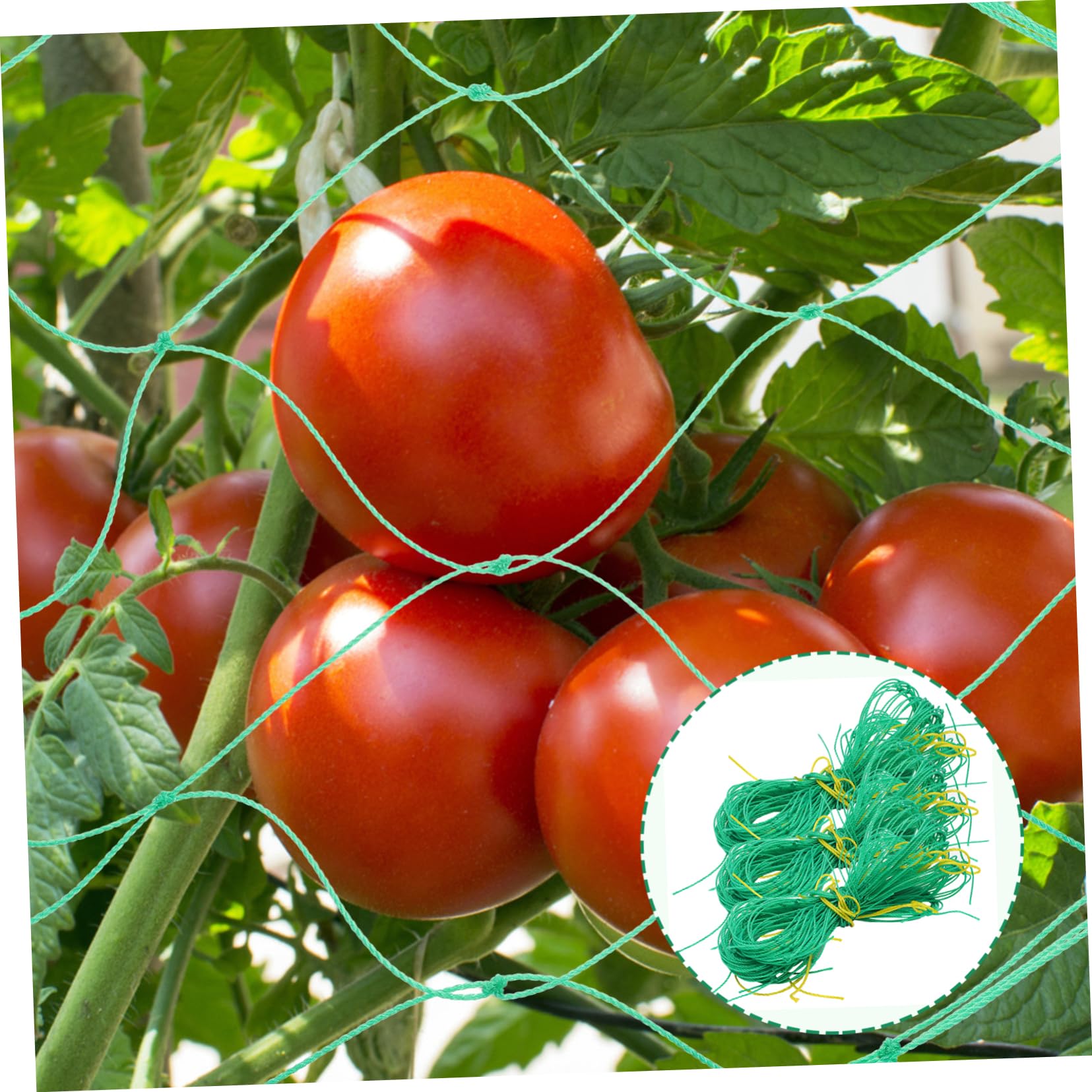 Gartennetz 3 Stück aus Nylon für Gurken und Kürbisranken