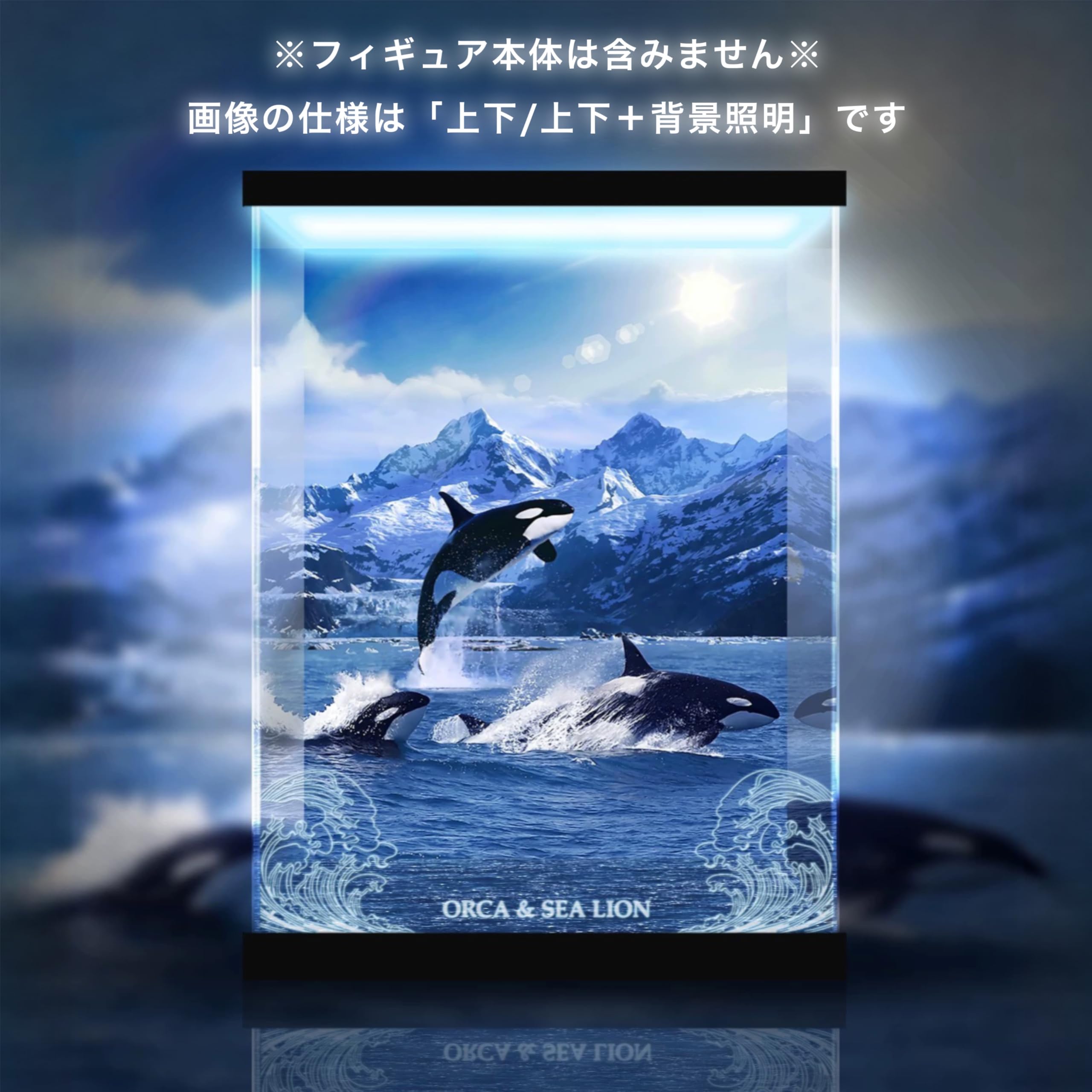 海洋堂 NATURETALES シャチとアシカ 松村しのぶ ネイチャーテイルズ Amazon.co.jp: 専用 ケース 海洋堂 KAIYODO ネイチャーテイルズ