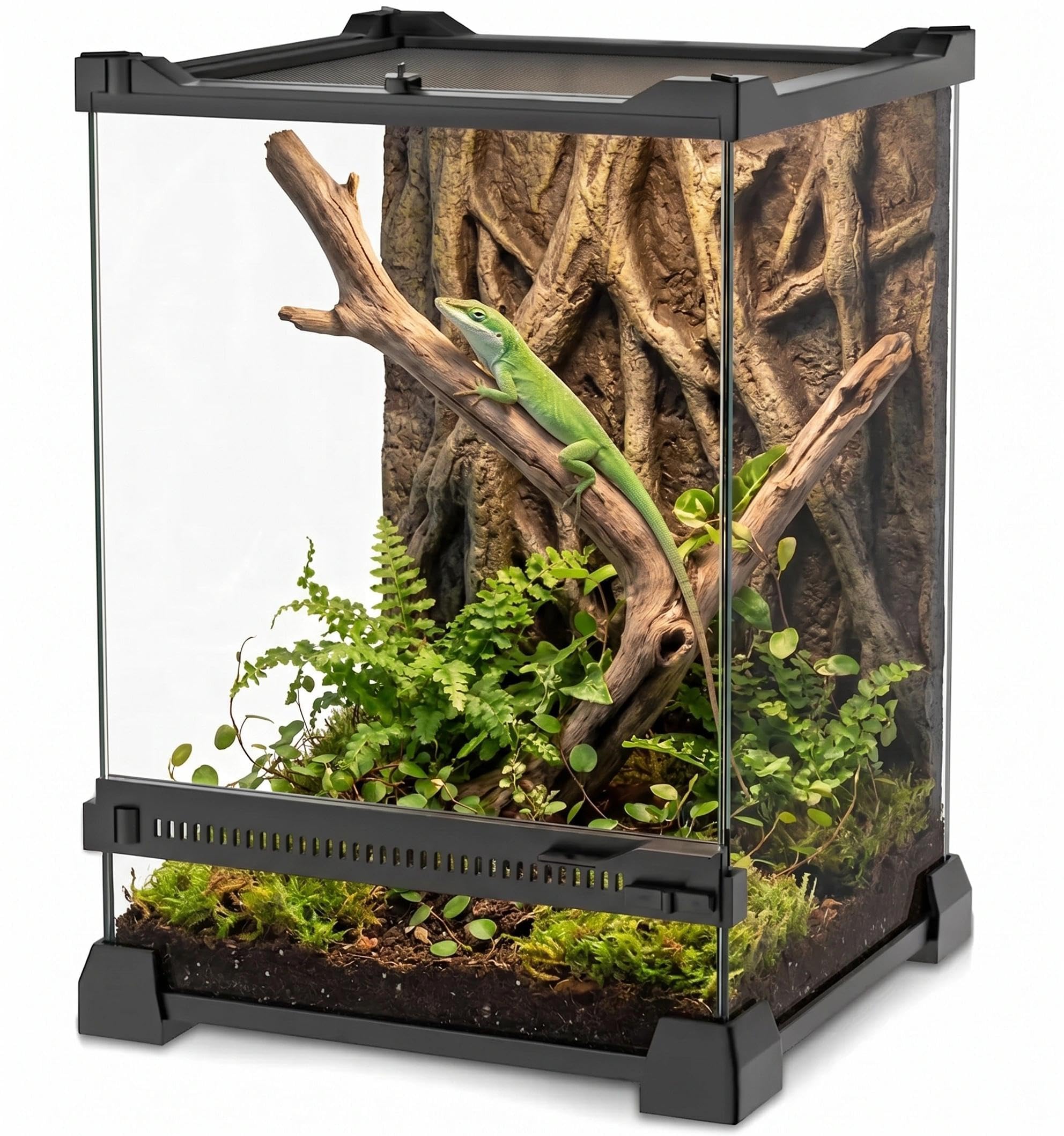 NEPTONION 8"x8"x12" Reptile Terrarium, Single-Door Glass Arboreal Vivarium for Small Arboreal Lizards Such as Small Day Geckos, with Lock, Cable Port & Waterproof Deep Base Below Front Door