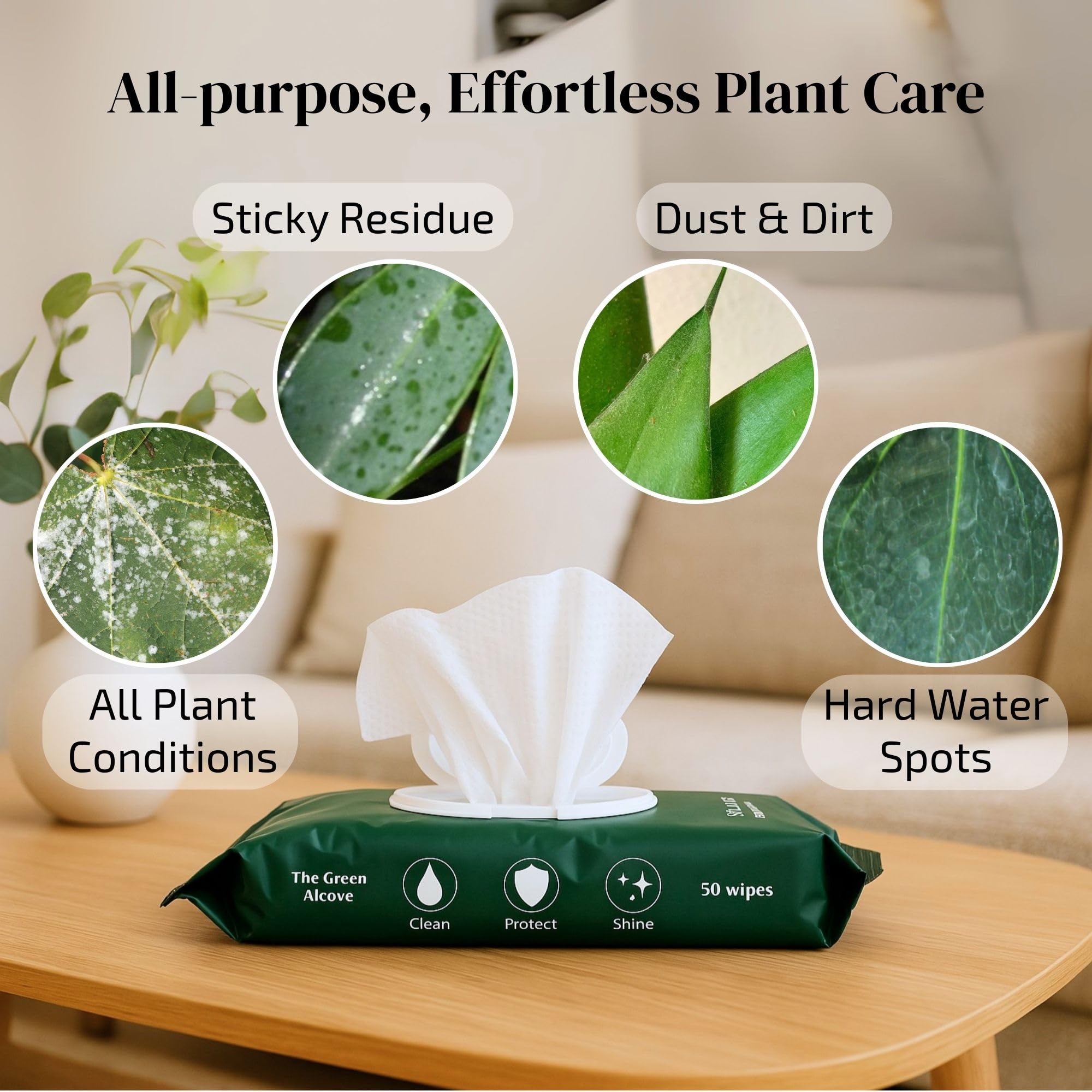 How to Clean Plant Leaves: A Simple Guide (2026) 2 TheGreenAlcove Plant Leaf Cleaner & Leaf Shine, Plant Cleaner | 2 Pack of 50 (To - product photo