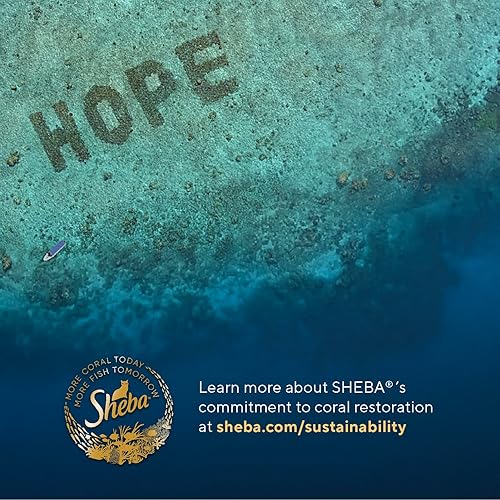 Miniatura 6 de Sheba Perfect PORTIONS - Cortes de comida para gatos adultos en salsa, salmón, trucha y atún sostenible, paquete de donación variada, 24 unidades de