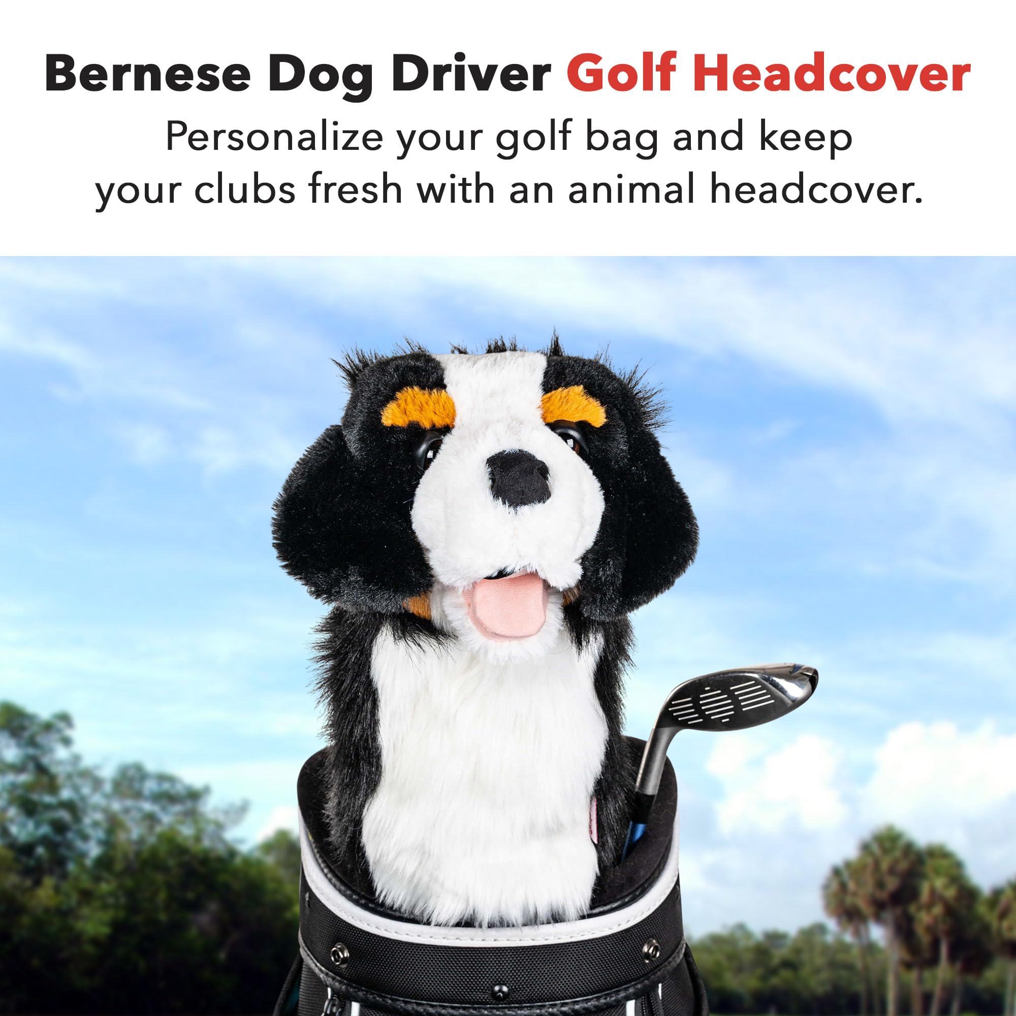 Daphne's Berner Sennenhund Headcover